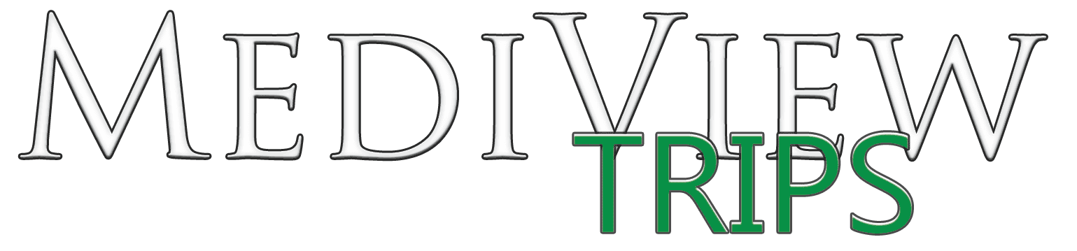 MedieView Software NEMT companies Medical Transport MedieView Software NEMT companies Medical Transport
